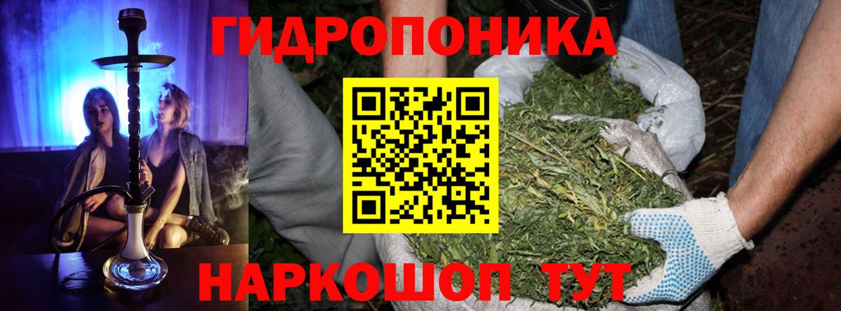 Конопля AK-47 Отрадный